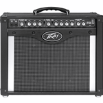 ENVOY110  Peavey Guitar Amp