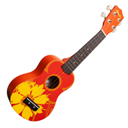 DDUK5 Orange Flower Soprano Ukulele