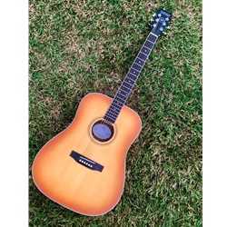 D10EB Nashville Guitar Works NGW Dreadnought Acoustic - Edgeburst