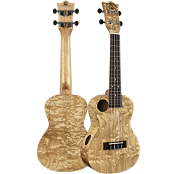 SNAILQAUKCEQ Amati Strings Snail Quilted Ash Concert Ukulele w/EQ